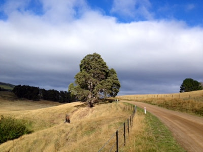 Judbury along Bermuda Road