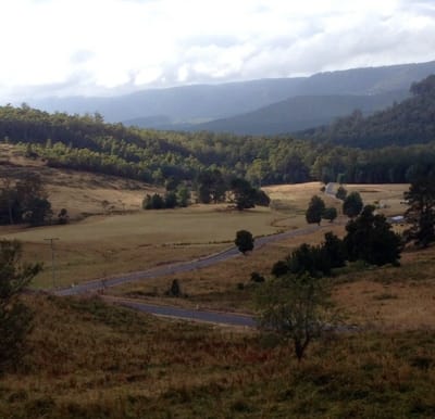 Paradise Road farmland