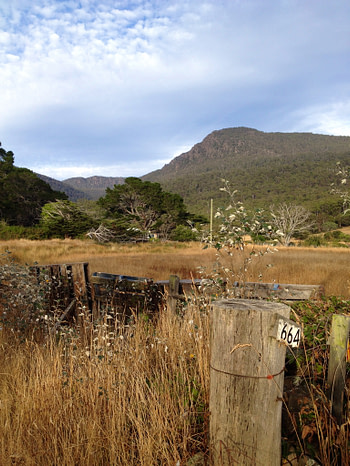 Cathcart Bluff