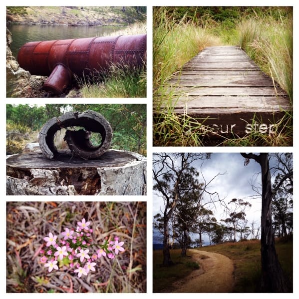 Highlights of Shag Bay walk
