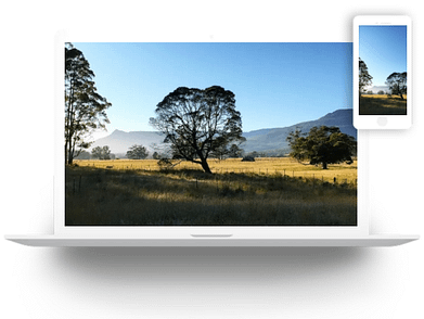 AMJ_Website_Design_Laptop_Phone_Header_Image