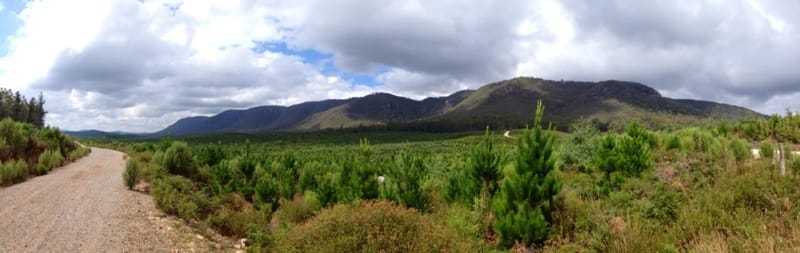 View_of_Gog_range.JPG